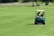 Golf buggy on golf field