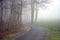 Golf Cart Path in Fog