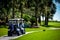 Golf cart in tropical scenery, palm trees and green grass during summer tournament in South Carolina