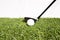 A golf club that is played by people hitting a golf ball on an artificial grass. Green means being ready for the game of golf