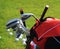 Golf clubs in golfbag