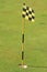 Golf Course Flag