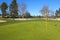 Golf course with green grass, trees and fence