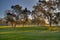 Golf Course Greens HDR