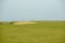 Golf course with neat green grass and a bunker with blue sky