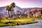 Golf course, Palm Springs, California