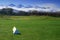 Golf course panoramic scene