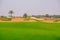 Golf Course at Saadiyat Island, Abu Dhabi, UAE