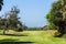 Golf Course Tee Box Hole Green Landscape