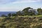 Golf Course at Torrey Pines La Jolla California USA near San Diego