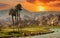 Golf courseat sunset  in palm springs, california