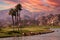 Golf courseat sunset  in palm springs, california