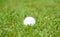 Golf crystal white ball on green grass in golf course