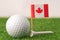 Golf globe world ball with Canada flag on green lawn or field