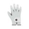 Golf glove icon, flat style