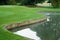 Golf green and water hazard