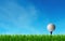 Golf invitation Design poster frame, golf ball on lawn