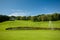 Golf landscape with a pond