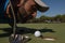 Golf player blowing ball in hole