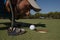 Golf player blowing ball in hole