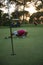 Golf player blowing ball in hole with sunset in background