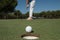 Golf player hitting shot, ball on edge of hole