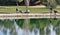 Golf players reflected in the lake