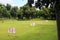 Golf Practice Range in Naga City Camarines Sur, Philippines