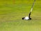 Golf: putter club with white golf ball