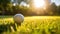 Golf sports ball on a pristine field with ample negative space