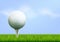 Golf tournament poster template flyer. Golf ball on green grass for competition. Sport club vector design