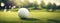 golfball on course