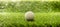 Golfball on green grass golf course, close up view