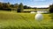 Golfball on green grass golf course, trees and a small pond, blue sky background. 3d illustartion