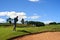 Golfer looking at the flying ball