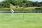 Golfer man playing golf aiming shot for putting ball on the hole with club on green course.