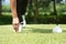 Golfer placing golf ball on tee on a sunny day at course