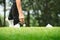 Golfer placing golf ball on tee on a sunny day at course