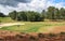 Golfer playing on a beautifully landscaped golf  course with green grass, trees and blue sky background