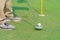 Golfer preparing for a putt Golf ball on the green during golfcourse