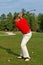 Golfer\'s Backswing