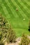 Golfers on bright green fairway