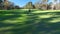 Golfers in Electric Golf Buggy driving through Golf Course.