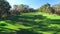 Golfers in Electric Golf Buggy driving through Golf Course.