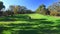 Golfers in Electric Golf Buggy driving through Golf Course.