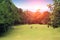 Golfers are playing golf in the evening golf course