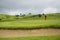 Golfers putting golf balls on the golf course in the morning