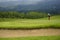 Golfers putting golf balls on the golf course in the morning