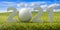 Golfing 2021. New year, green grass field, blue sky background. 3d illustration