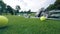 Golfing clubs and ball lying on a golf field.